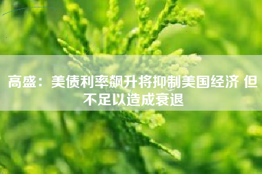 高盛：美债利率飙升将抑制美国经济 但不足以造成衰退