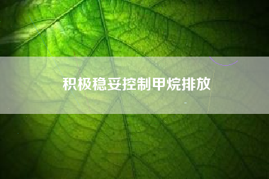 积极稳妥控制甲烷排放