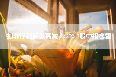 扣非净利润最高减-53.57% 7股中报含雷