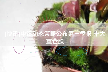 [快讯]中银动态策略公布第三季报 十大重仓股