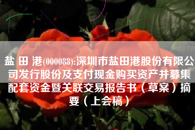 盐 田 港(000088):深圳市盐田港股份有限公司发行股份及支付现金购买资产并募集配套资金暨关联交易报告书（草案）摘要（上会稿）