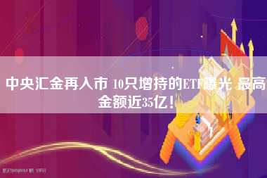 中央汇金再入市 10只增持的ETF曝光 最高金额近35亿！