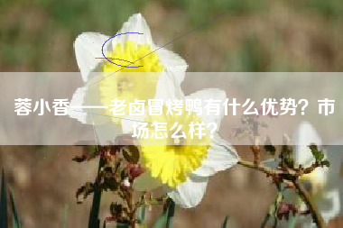 蓉小香——老卤冒烤鸭有什么优势？市场怎么样？