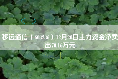 移远通信（603236）12月20日主力资金净卖出70.16万元