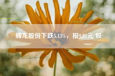 腾龙股份下跌5.13%，报9.81元/股
