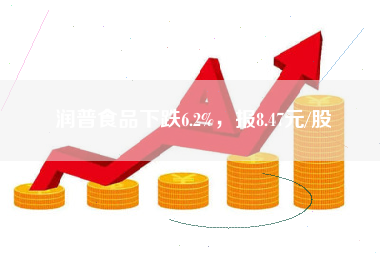 润普食品下跌6.2%，报8.47元/股