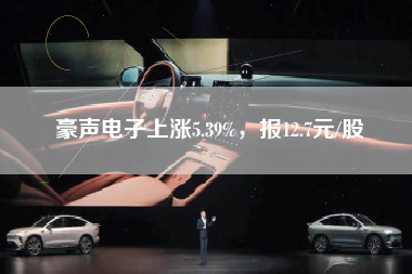 豪声电子上涨5.39%，报12.7元/股