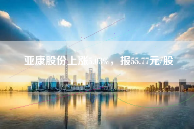 亚康股份上涨5.03%，报55.77元/股