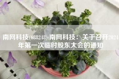 南网科技(688248):南网科技：关于召开2024年第一次临时股东大会的通知