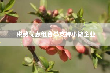 税费优惠组合拳支持小微企业