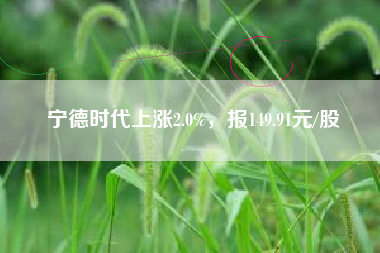 宁德时代上涨2.0%，报149.91元/股