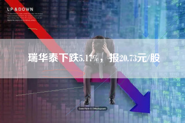 瑞华泰下跌5.17%，报20.73元/股