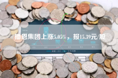 播恩集团上涨5.05%，报15.39元/股