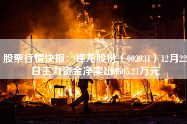 股票行情快报：锋龙股份（002931）12月22日主力资金净卖出8505.21万元