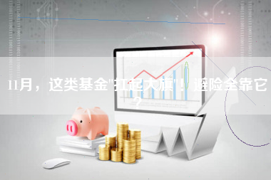 11月，这类基金