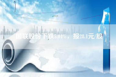 国联股份下跌5.04%，报28.1元/股