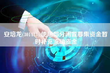 安培龙(301413):使用部分闲置募集资金暂时补充流动资金