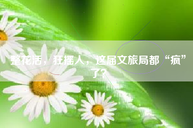 整花活，狂摇人，这届文旅局都“疯”了？