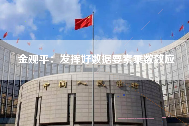 金观平：发挥好数据要素乘数效应