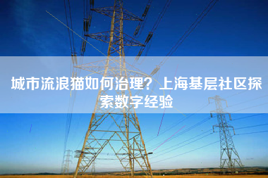 城市流浪猫如何治理？上海基层社区探索数字经验