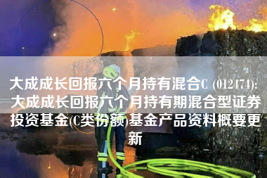 大成成长回报六个月持有混合C (012474): 大成成长回报六个月持有期混合型证券投资基金(C类份额)基金产品资料概要更新