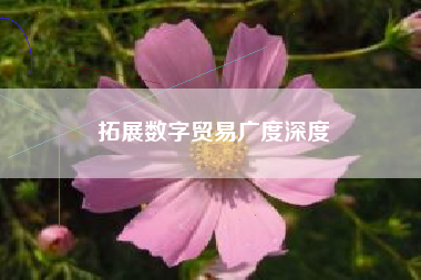 拓展数字贸易广度深度